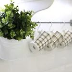 Hortenzia *
